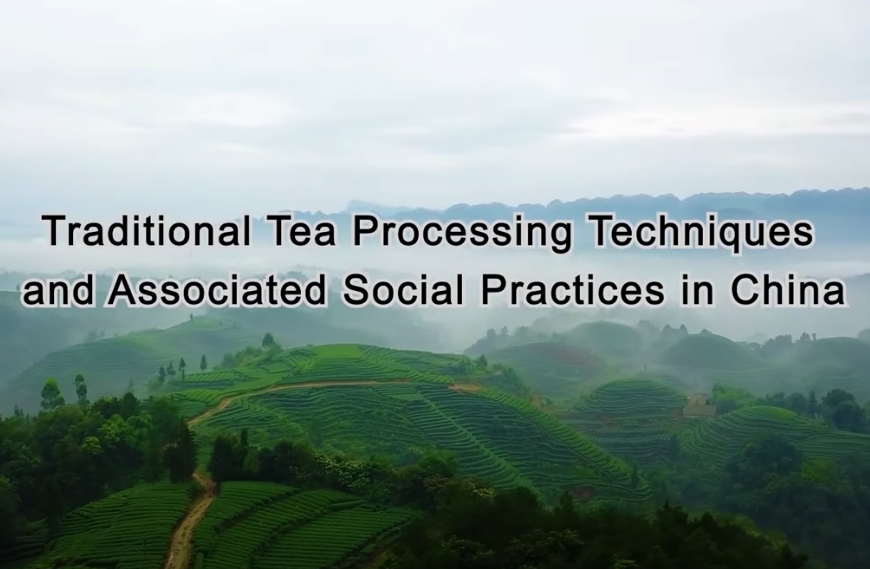 Traditional tea processing techniques and associated social practices in China
